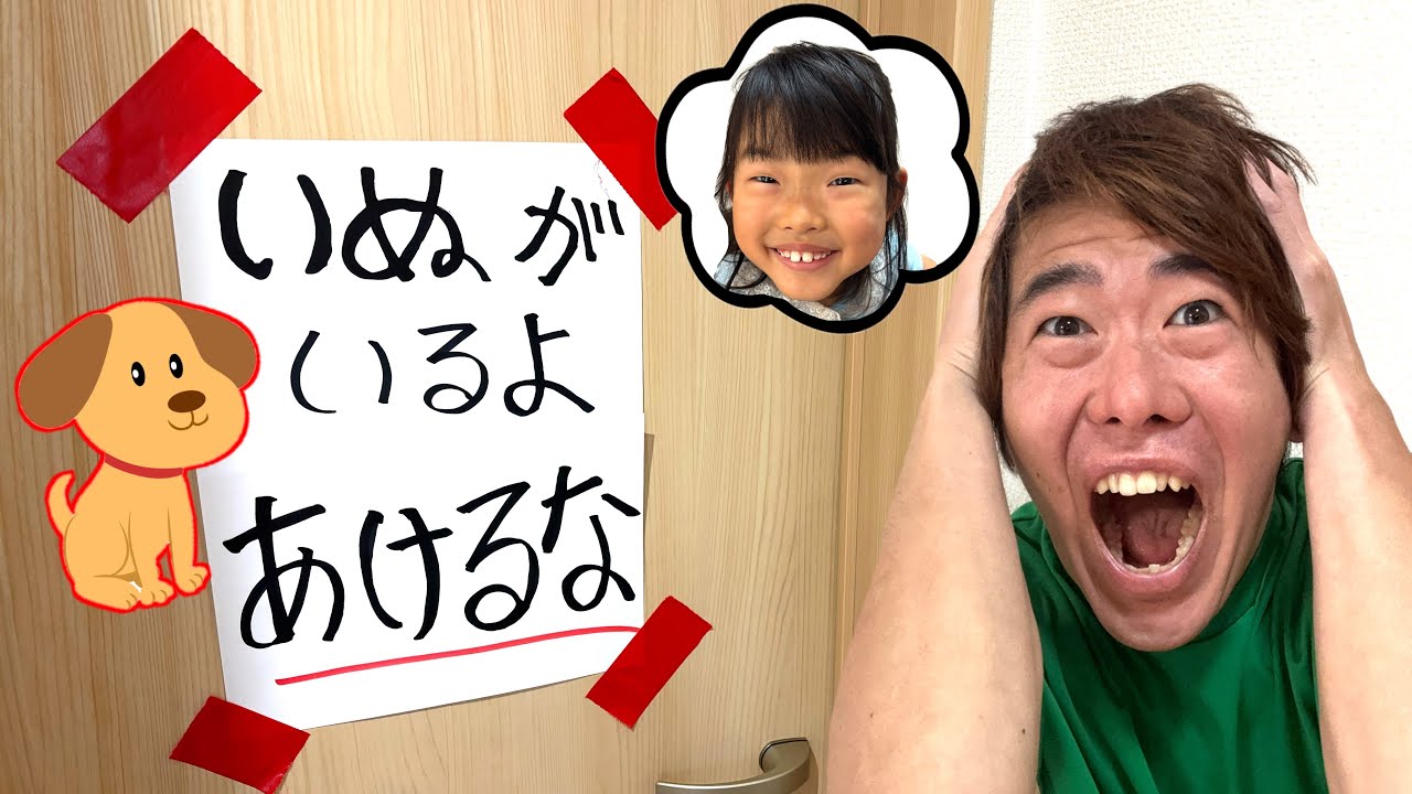 Oh, there's a dog in the room! 😱⁉️ Koko-chan wanted to have a