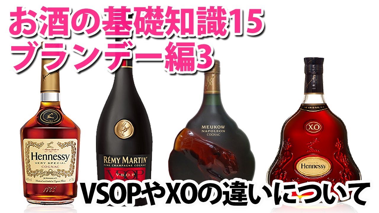 カミユ:-:VSOP他XOブランデー3種類