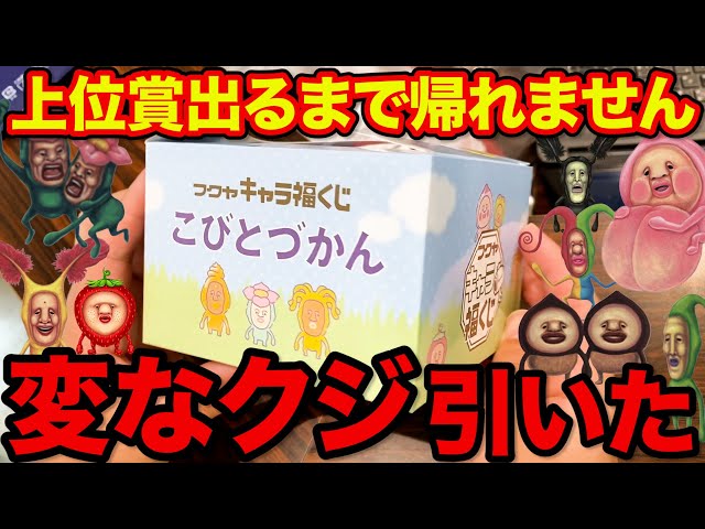 こびとづかん一番くじ37点⭐︎フルコンプ⭐︎ こびとづかん一番くじ37