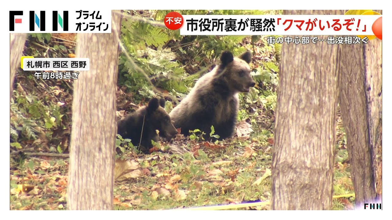 川を泳ぎ住宅街へ向かうクマ…岩手・盛岡市中心部に出没 札幌では小学校