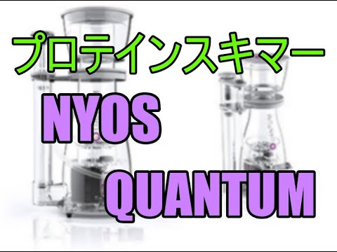 プロテインスキマー 機材紹介 NYOS QUANTUM - YouTube