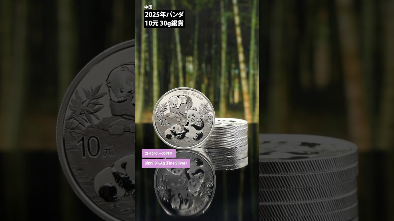 中国人民行 2025年パンダ銀貨30g 銀貨