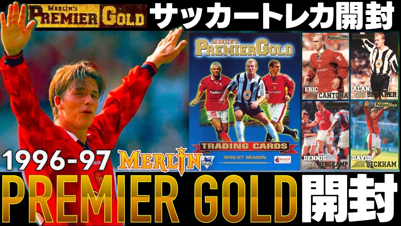 Merlin's Premier Gold Beckhamベッカム