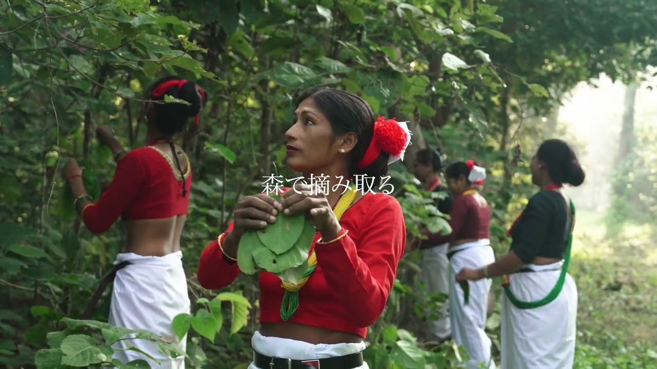 HAND MADE LEAF PLATE ハンドメイドリーフプレート – 14select