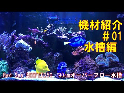 機材紹介＃01 Red Sea REEFER250 90cmオーバーフロー水槽 【海水魚水槽