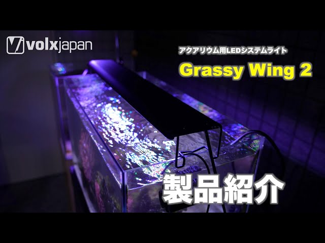Grassy Wing2 / グラッシー・ウィング2 60 Marine