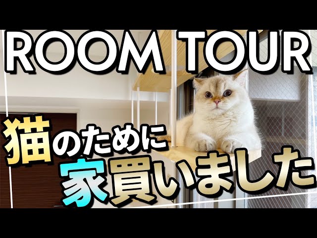 ルームツアー】猫のために購入した分譲マンションを猫リフォーム！施主