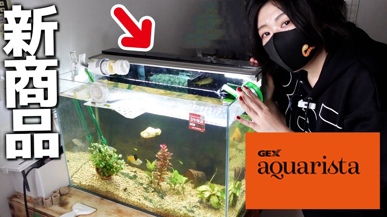 水槽の景観を崩さない最強フィルター「GLASS CUSTOM 600」を最速