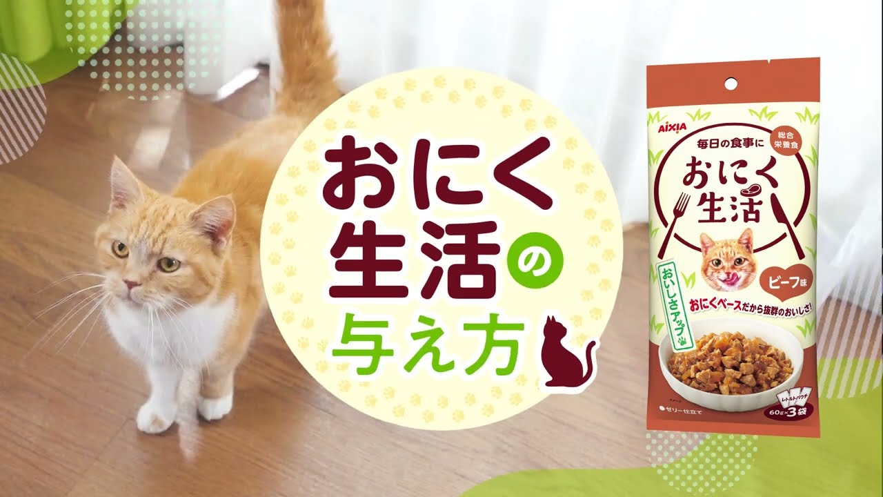 ヨドバシ.com - アイシア AIXIA おにく生活 ビーフ味 [猫用 ウェット