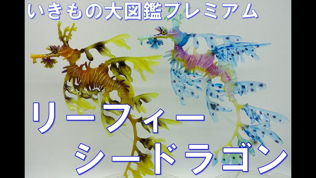 いきもの大図鑑プレミアム リーフィーシードラゴン ブルー イエロー