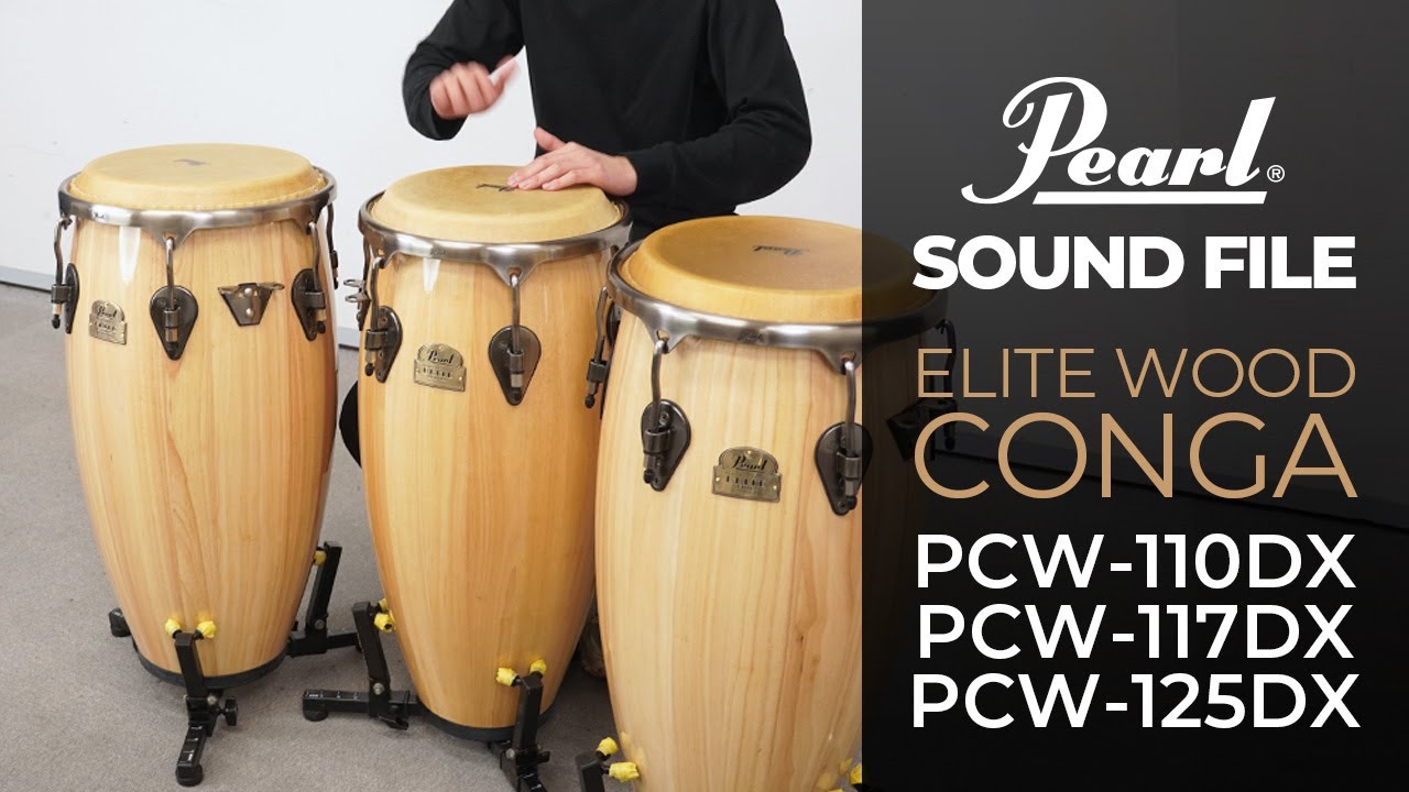pearl パール プロフェッショナル パッカーション コンガ 10インチ