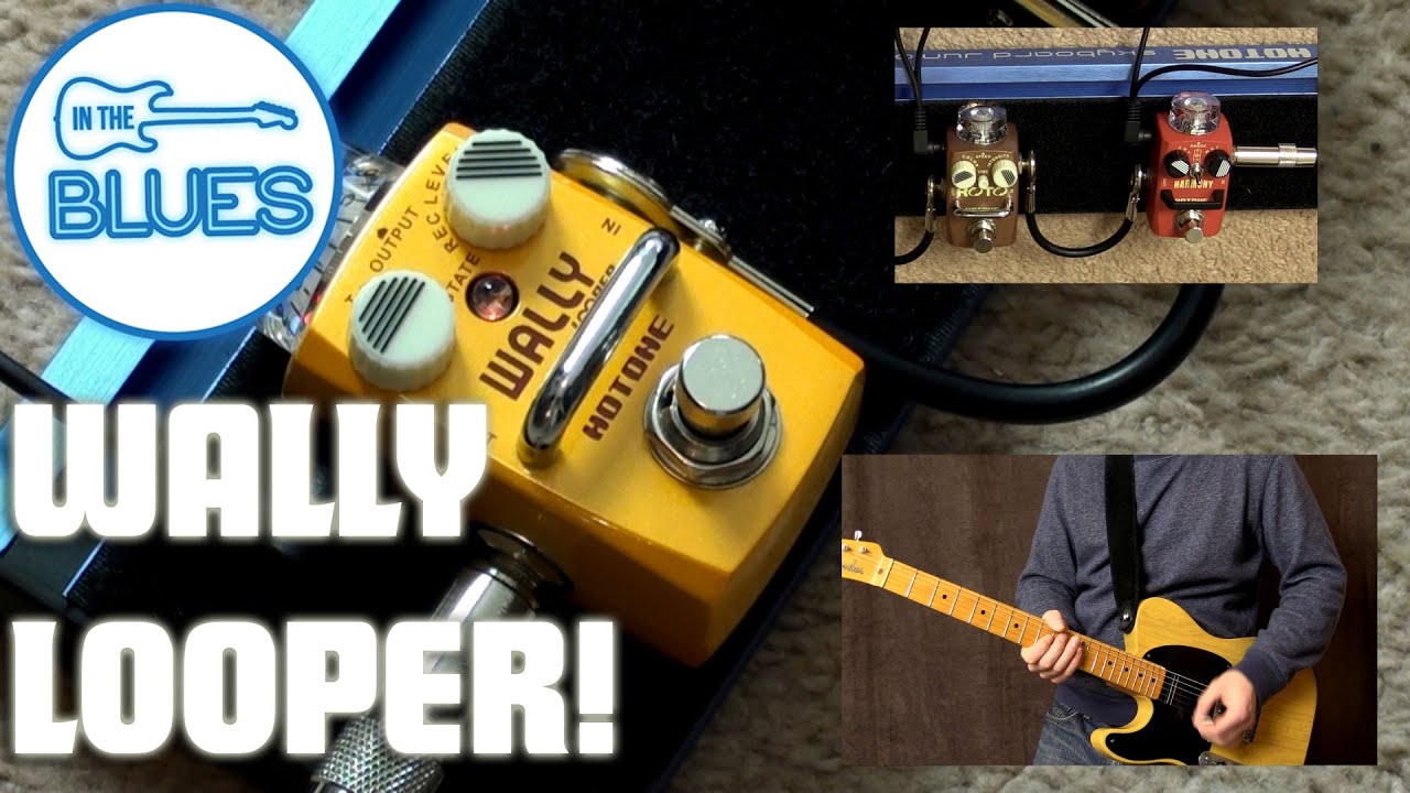 Hotone Wally Looper Pedal - YouTube