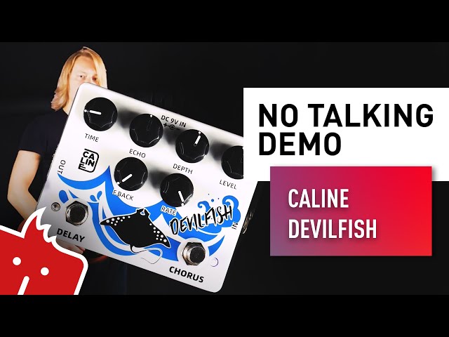 Caline Devil Fish ディレイ・コーラスエフェクター ブランド 品 通販