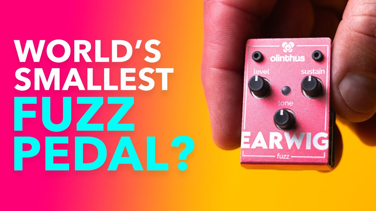 World's Smallest Effects Pedal! – Earwig Fuzz - Olinthus