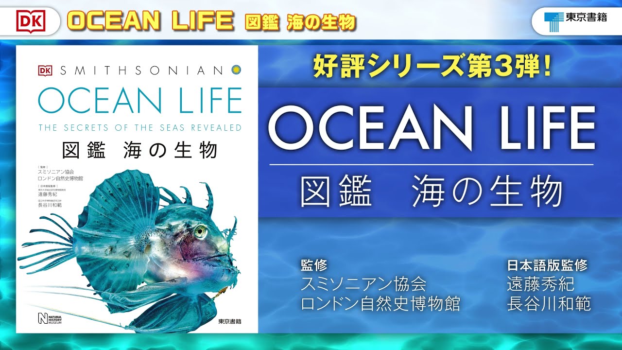 手に取るように海がわかる、新しい海洋生物の図鑑！『OCEAN LIFE 図鑑