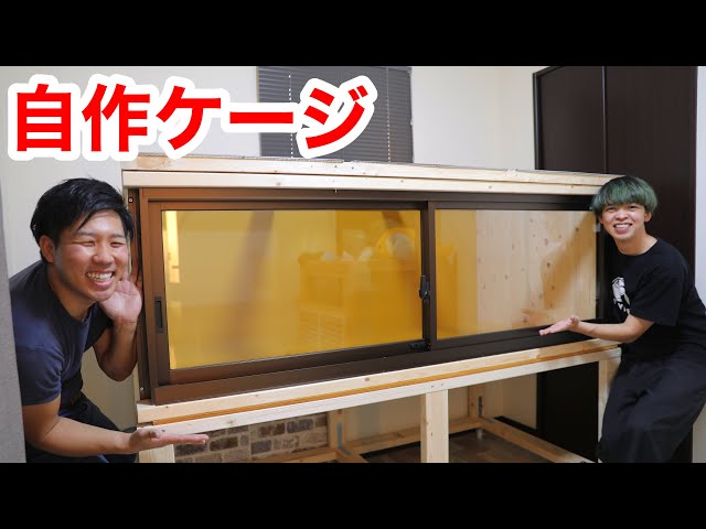 I made my own giant reptile cage using a window sash - YouTube