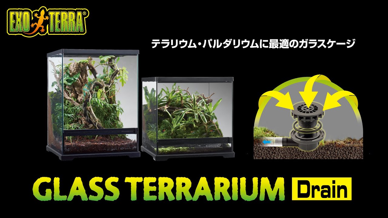 グラステラリウム 爬虫類情報 | 爬虫類用品・エキゾテラのジェックス