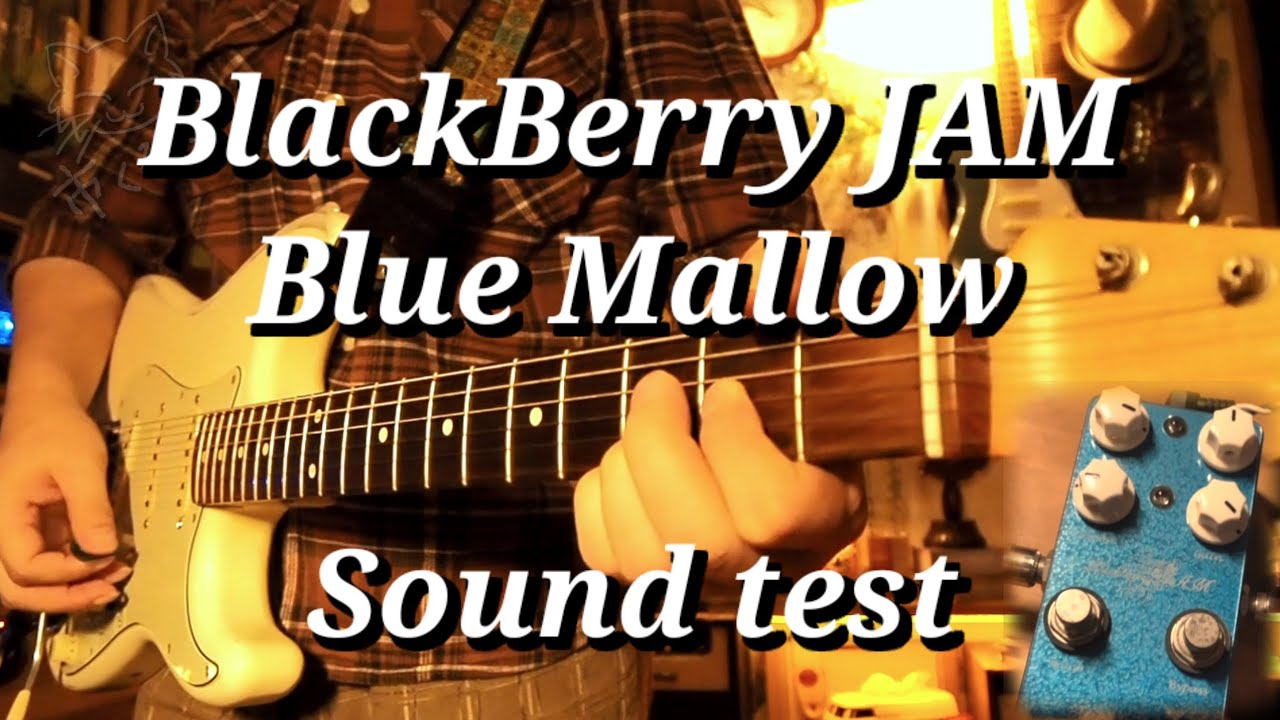 Blackberry JAM / Blue Mallow Check Report - YouTube