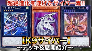 K9サイバー・ドラゴンデッキ 第348回太陽CSの結果はこちら！ 優勝