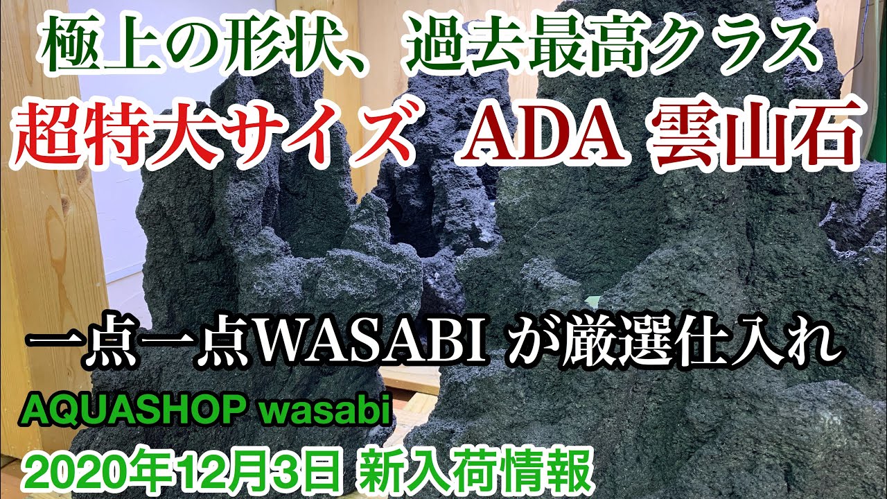 大型水草水槽用！ADA雲山石 巨大サイズを厳選仕入れ！ AQUASHOP
