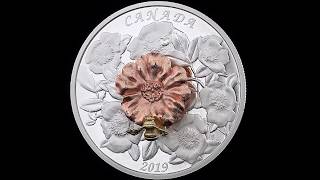 2000年 ヤギさん(羊)の5ドル白銅貨 リベリア 2000年 ヤギさん(羊)の5