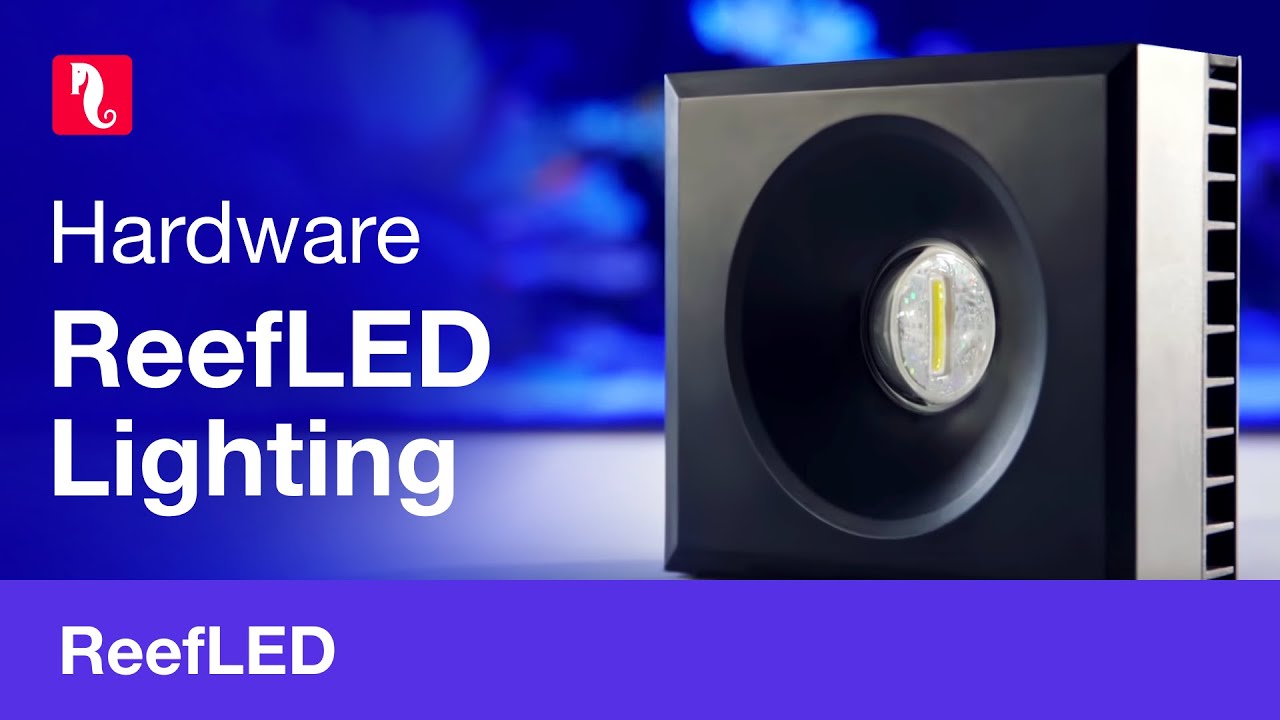 Red Sea's ReefLED™ 90 smart reef lighting - YouTube
