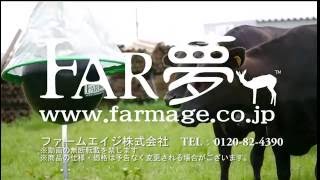 アブキャップ ｜ 電気も薬も使わない次世代型アブ捕獲器 | ファーム