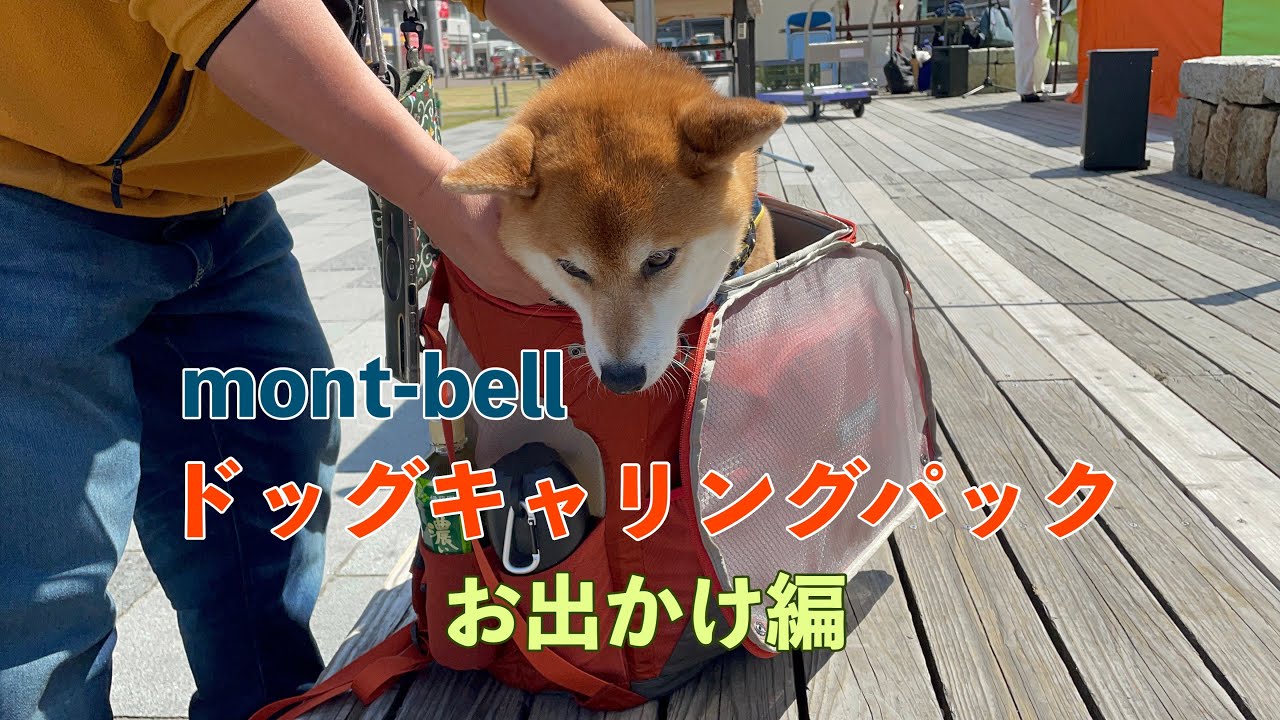 2023/04/01 モンベル ドッグキャリングパック【お出かけ編】 - YouTube