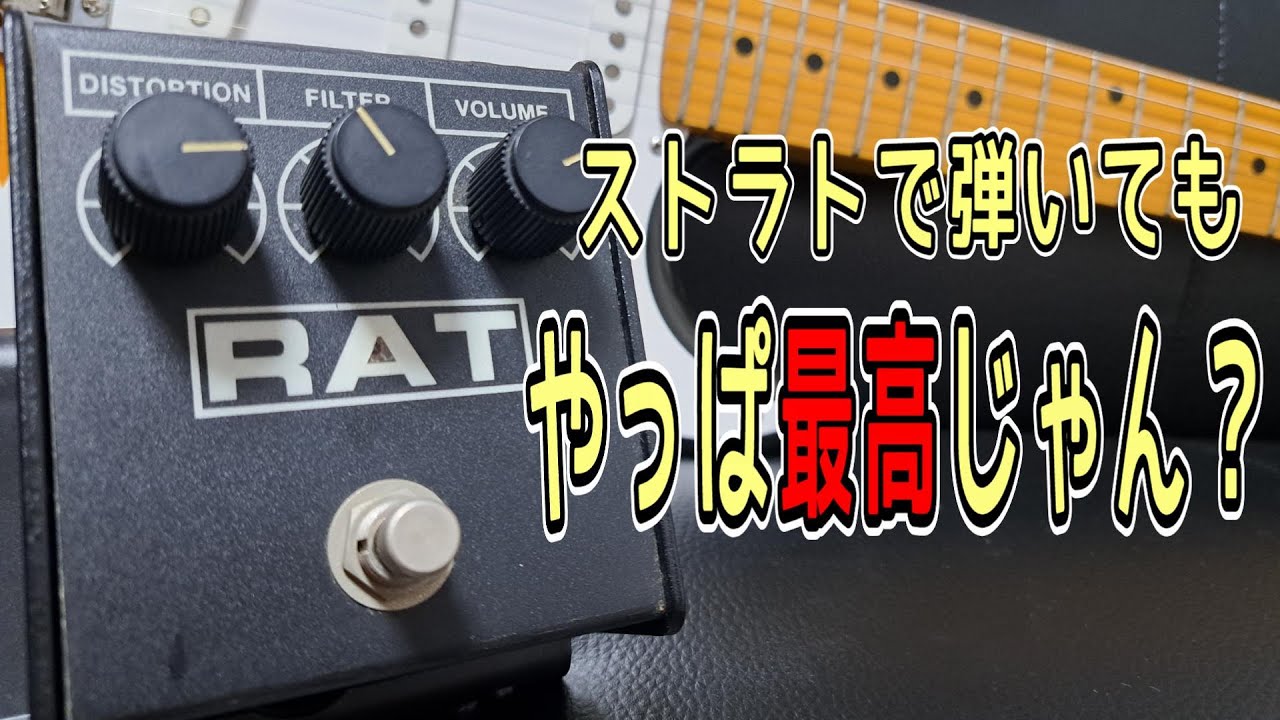 RAT ギターエフェクター THE RAT RT-539961 RAT ギターエフェクター