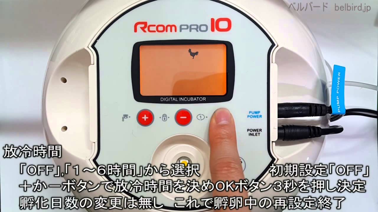 Rcomプロ10 小型自動孵卵器(ふ卵器・ふ卵機) | 正規輸入代理店 ベルバード