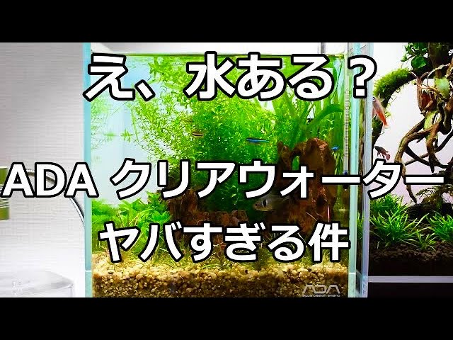 透明の概念が変わります。ADAクリアウォーターの効果が凄すぎる#7