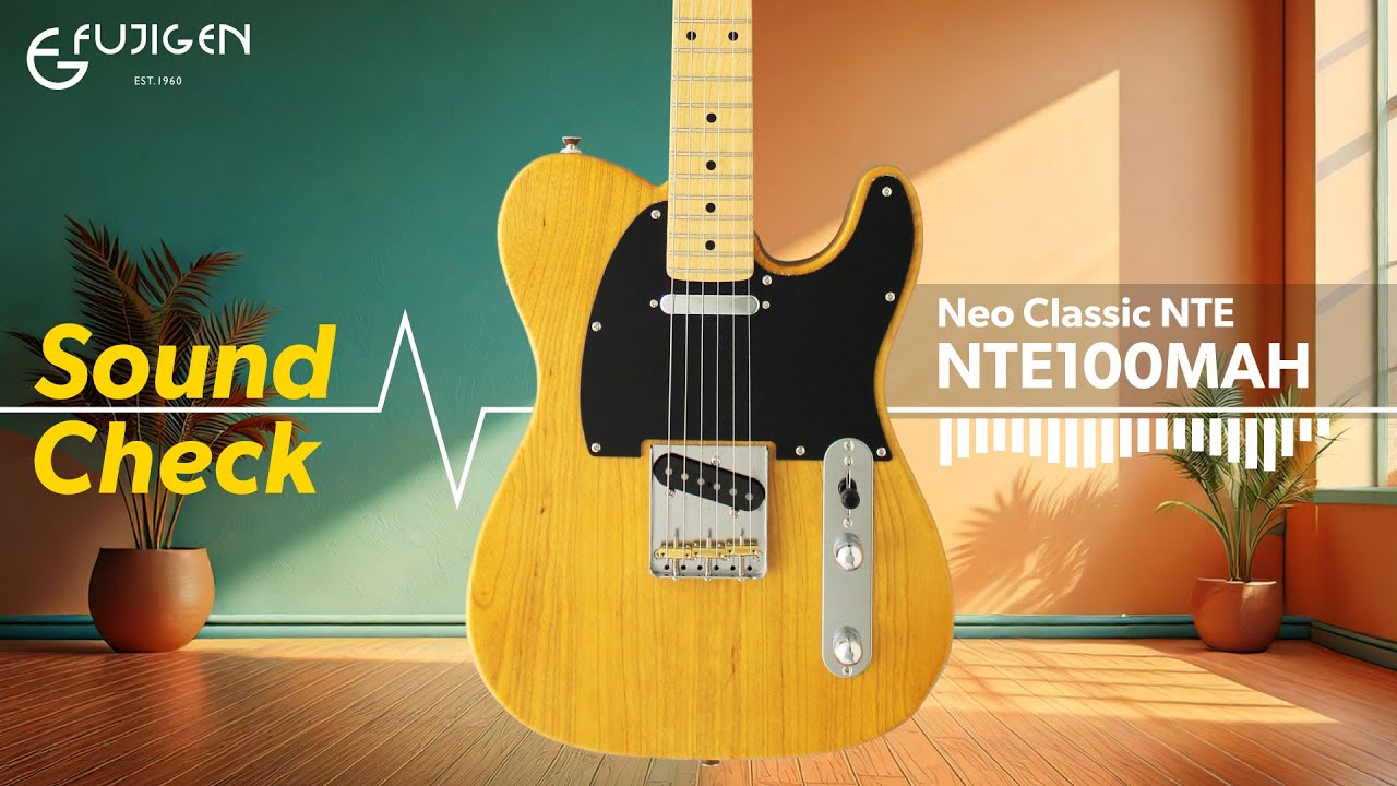 FUJIGEN Neo Classic NTE100MAH-VNT（ケース付き） NTE100MAH-VNT