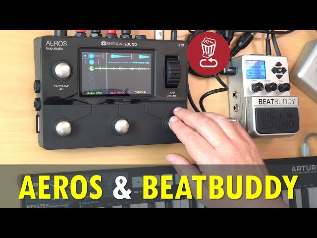 ギター Singular Sound AEROS Loop + BEAT BUDDY Aeros Loop Studio