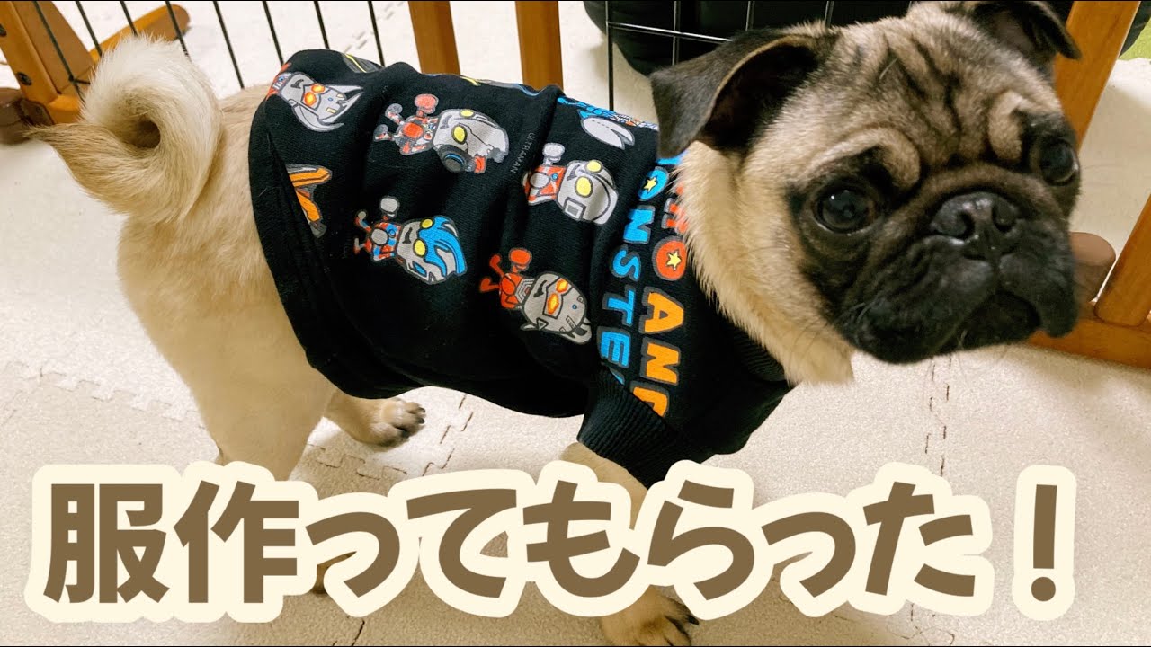 袖にクマさんのロンT フレブル服 パグ服 犬服 ハンドメイド 【公式通販】