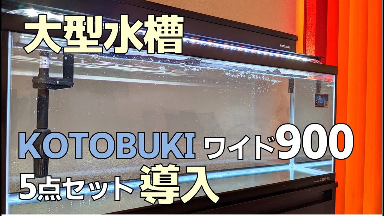 水槽紹介】大型水槽 KOTOBUKI ワイド900 5点LED導入 - YouTube