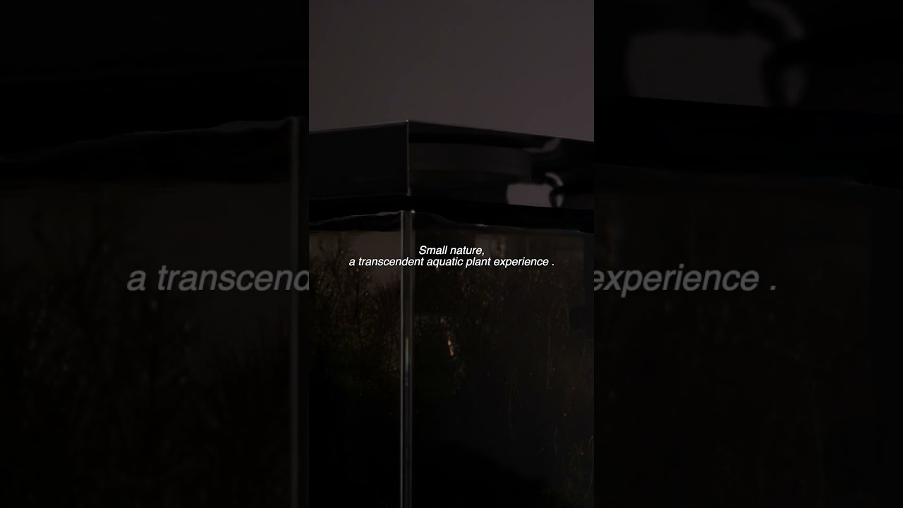 ADA CO2 System 74-DA (CO2 cartridge included) - Free Shipping