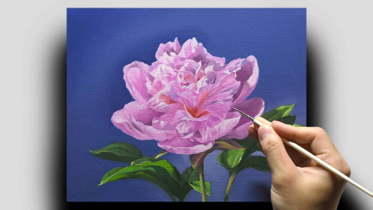 油絵 専用 ももいろのしゃくやく 油絵専用ももいろのしゃくやく