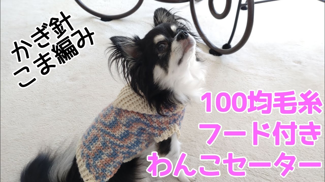 かぎ針犬用セーター】こま編みだけで可愛い模様のひつじくんで簡単な
