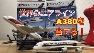 猛*魂様 世界のエアライン シンガポール空港ウイングキット