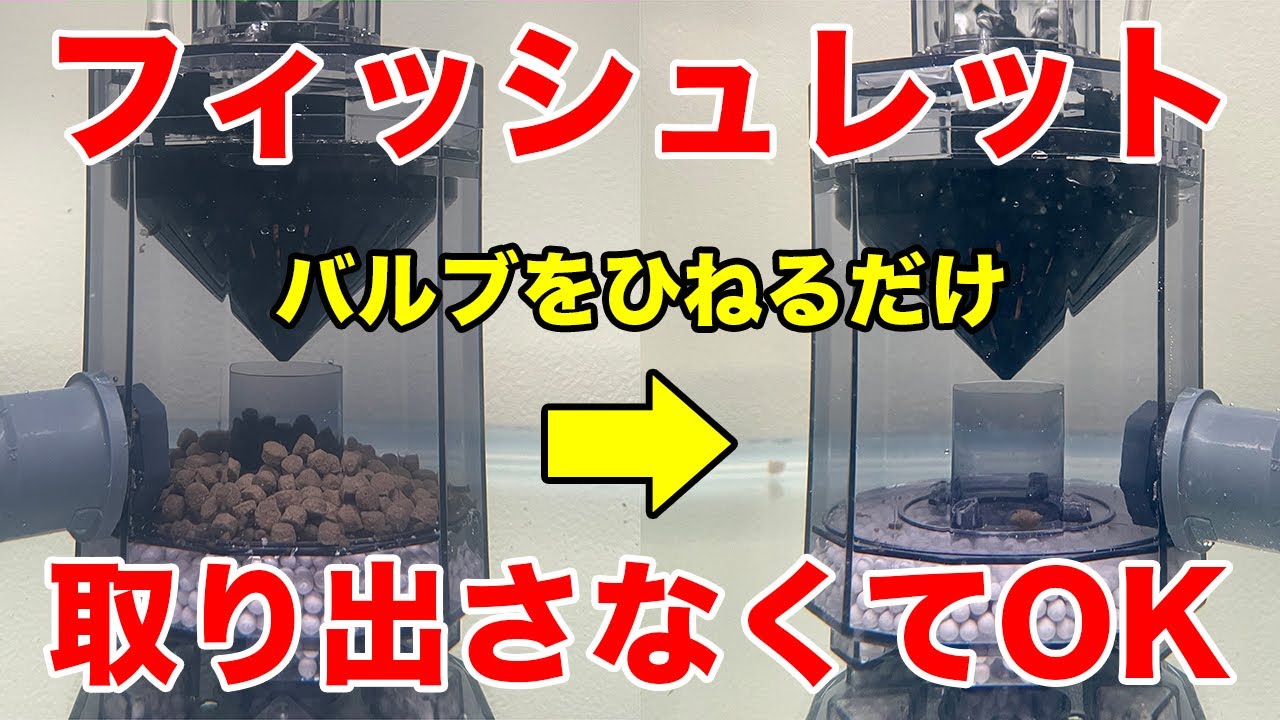 Too Comfortable] How to Make Fishlets Maintenance-Free - YouTube