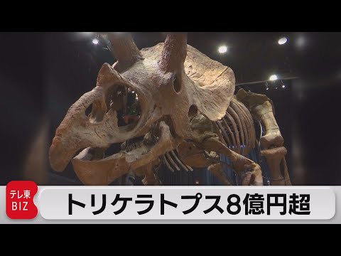 世界最大のトリケラトプス化石 8億7,000万円で落札 全長7メートル超
