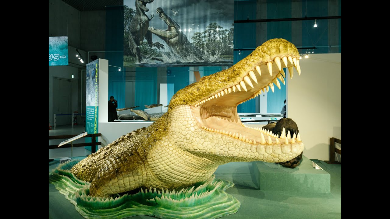 白亜紀の巨大ワニ「デイノスクス」（大地のハンター展・国立科学博物館