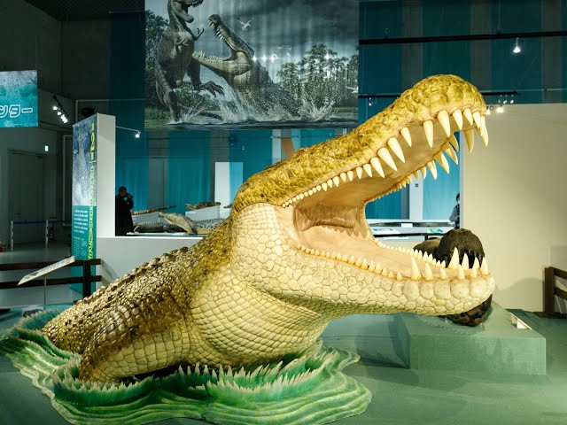 白亜紀の巨大ワニ「デイノスクス」（大地のハンター展・国立科学博物館