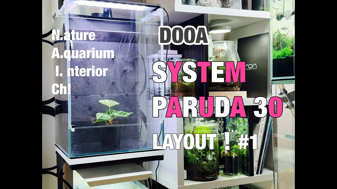 システムパルダ30 レイアウト編＃1 - YouTube