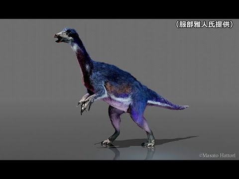 北海道中川大きな虹色ハウエリセラス化石恐竜