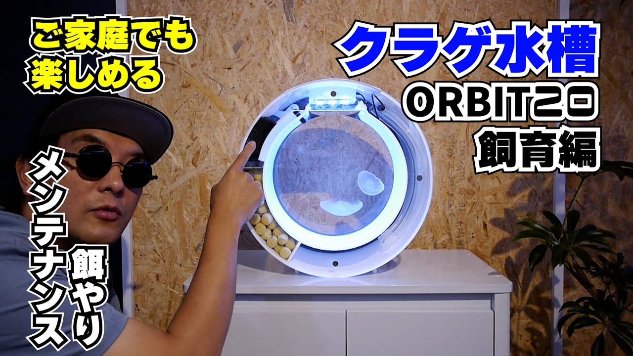 海月水景シリーズ PICO(ピコ) 小型クラゲ専用水槽がついに登場!! - YouTube