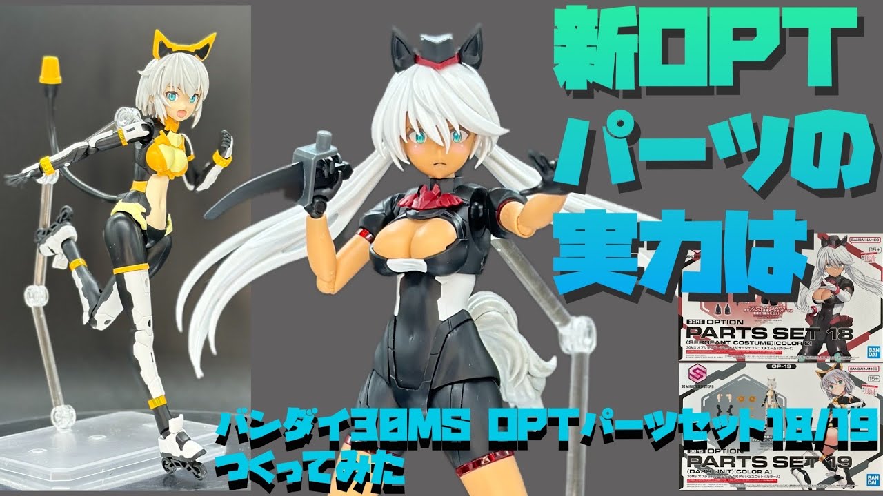 Review] I made the Bandai 30MS Option Parts Set 18/19 [Plamo 242