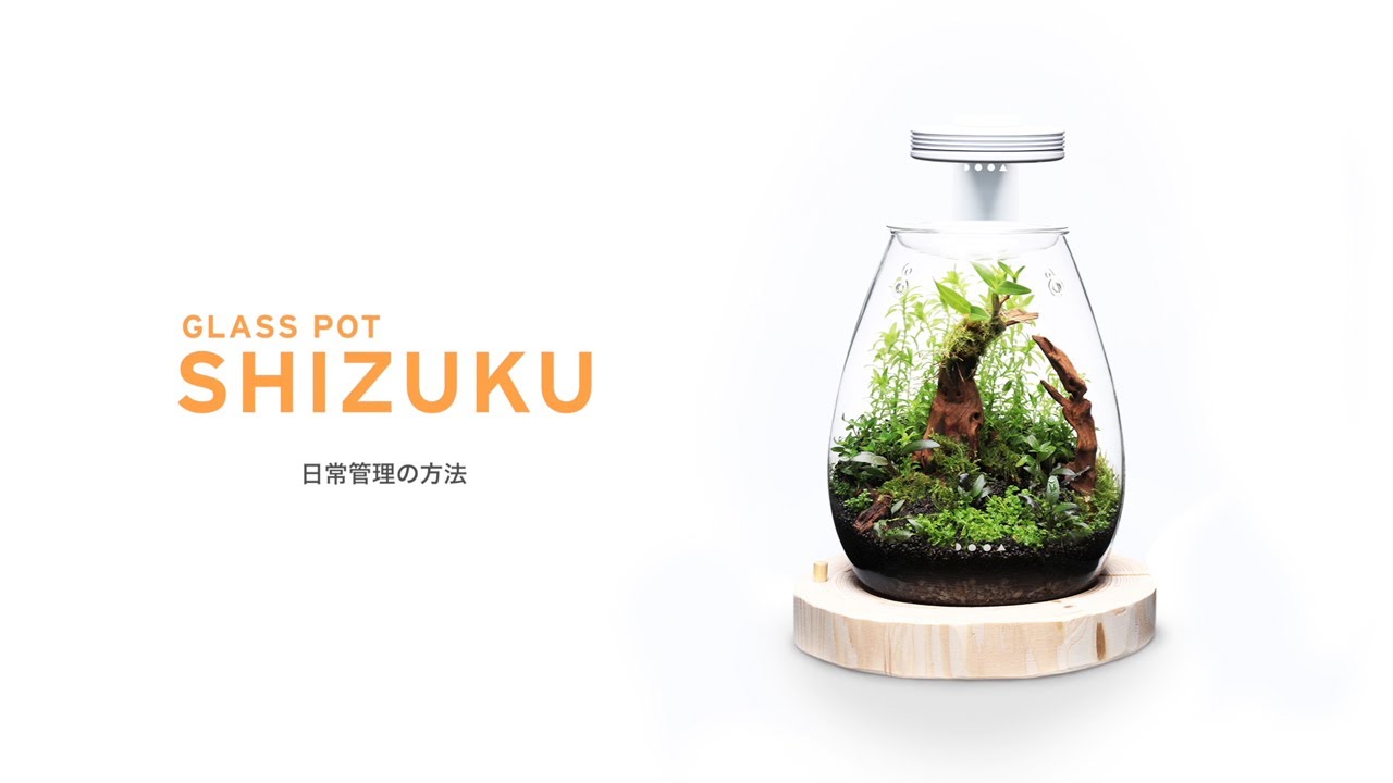 DOOA GLASS POT SHIZUKU – Aqua Forest Aquarium