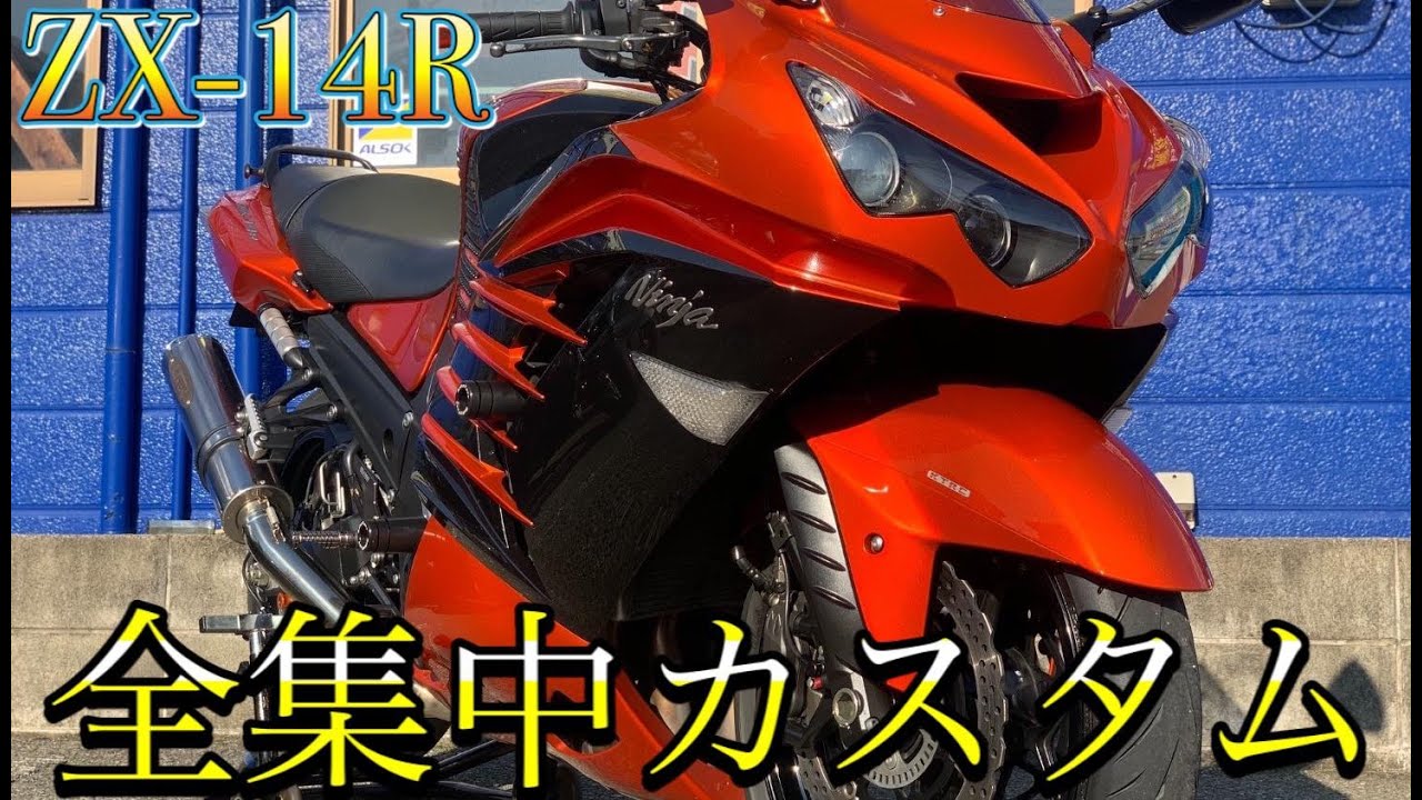 稀少 美品 ダッチデルフト バイカラー goro's等のカスタムに カスタム