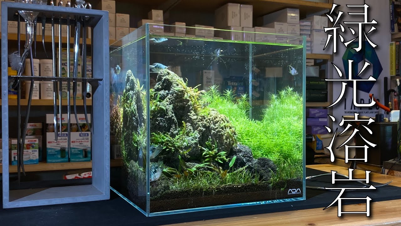 ADA 30cm ガラスキューブ 水槽 セット